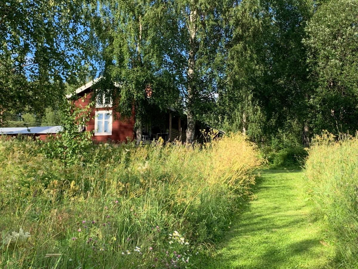 Bogaerdan, Cozy Cabin By The Lulea River Harads Kültér fotó